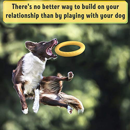 PetSpy Dog Ring Toy – Flying Ring for Outdoor Play, Floating Training & Fetch Toy for Throwing, Catching & Chewers – Durable EVA Flying Disc for Small, Medium & Large Dogs - size: Small To Medium, style: 2 Rings