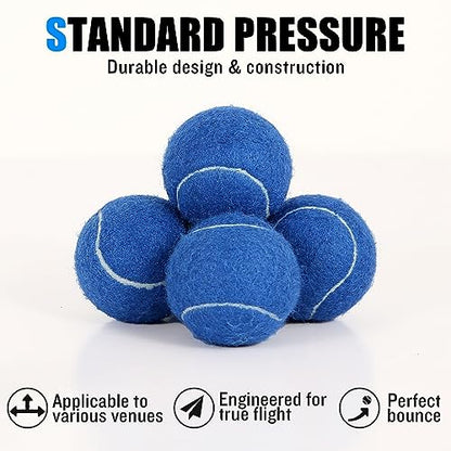 60/120 Pack Tennis Balls, Training Tennis Balls, Pet Dog Playing Balls, Practice Tennis Balls with Mesh Bag for Transport and Beginner Training - color: Blue-60Pack