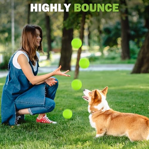 FURWEY Tennis Balls, 12/24/36/80 Pack Bulk Tennis Balls Pressureless Tennis Ball, Come with Mesh Bag for Easy Transport,Pet Dog Playing Balls, Good for Beginner Training Ball - size: 36P