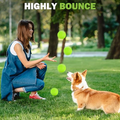 FURWEY Tennis Balls, 12/24/36/80 Pack Bulk Tennis Balls Pressureless Tennis Ball, Come with Mesh Bag for Easy Transport,Pet Dog Playing Balls, Good for Beginner Training Ball - size: 80P