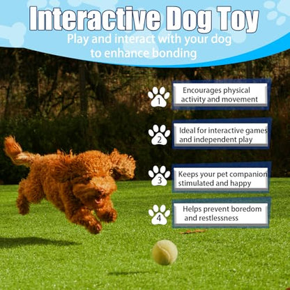 Swingers Small Tennis Balls，20 Pack 2 inch Training Tennis Balls,Exercise Ball for Pet Dog with Mesh Carry Bag Easy to Transport