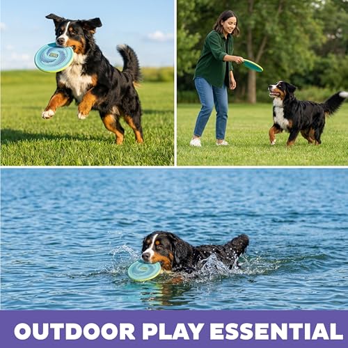 Outward Hound FlyFetch Disc Dog Toy, Aerodynamic for Fetch, Lightweight Foam & Durable Rubber, Floats in Water, All Breeds, 8.3" - color: Disc Blue