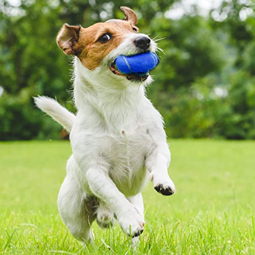 Vinsot 24 Pack Tennis Balls Bulk, Standard Pressure Balls for Training Playing Player Beginner Youth, Exercise Ball for Pet Dog, 2.5 Inch(Blue) - color: Blue