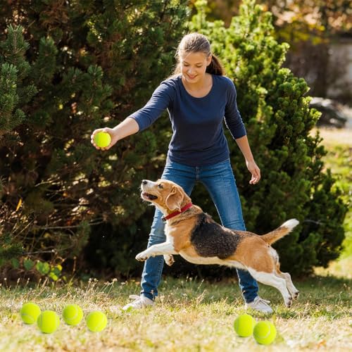 Treeroot 16/30/40/60/80 Pcs Tennis Balls, High Elasticity Tennis Balls Bulk, Comes with a Portable Mesh Bag, Tennis Ball for Dogs, Suitable for Beginner Training Ball, Durable & Bounce - size: 40Pack