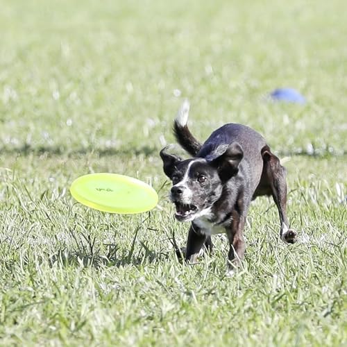 Hyperflite Pup Jawz Puncture Resistant Dog Flying Disc, Small Dogs | Puncture Resistant, Competition Approved | 7-inch, 90g | Small Dogs | Yellow - color: Yellow