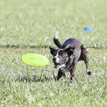 Hyperflite Pup Jawz Puncture Resistant Dog Flying Disc, Small Dogs | Puncture Resistant, Competition Approved | 7-inch, 90g | Small Dogs | Yellow - color: Yellow