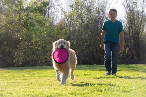 Hyper Pet Flippy Flopper 9" Flying Disc Soft Dog Toy, Floats in Water & Safe on Teeth, for All Breeds, Pack of 5 (Colors May Vary) - size: 9" Pack of 5