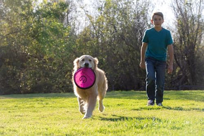 Hyper Pet Flippy Flopper 9" Flying Disc Soft Dog Toy, Floats in Water & Safe on Teeth, for All Breeds, Pack of 5 (Colors May Vary) - size: 9" Pack of 5