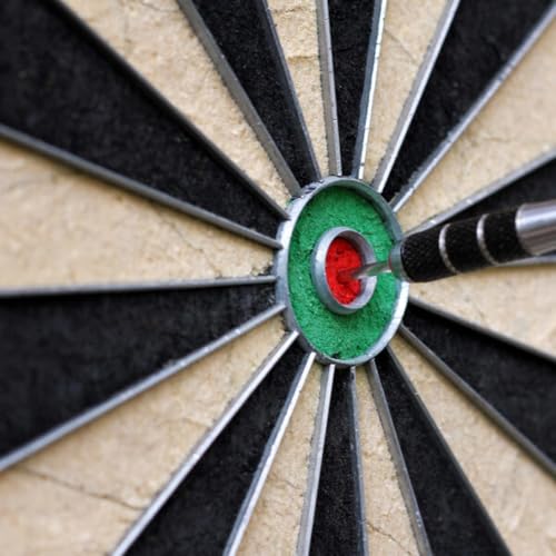 Dart Board – Tournament Sized Indoor Hanging Number Target Game for Steel Tip Darts – Dartboard with Mounting Hardware by Hey Play - size: 18 x 1.75-Inch