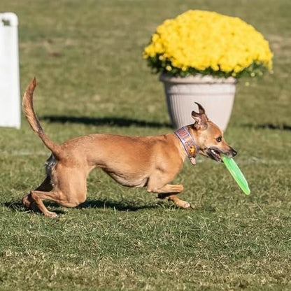 Hyperflite Pup Jawz Puncture Resistant Dog Flying Disc, Small Dogs | Puncture Resistant, Competition Approved | 7-inch, 90g | Small Dogs | Yellow - color: Yellow