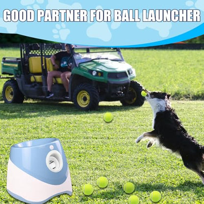 Swingers Small Tennis Balls，20 Pack 2 inch Training Tennis Balls,Exercise Ball for Pet Dog with Mesh Carry Bag Easy to Transport