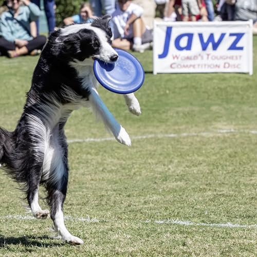 Hyperflite K-10 Jawz Puncture Resistant Dog Flying Disc, Medium-Large | Puncture Resistant, Competition Approved | 8.75-inch, 150g | Medium & Large Dogs | Blue - color: Blue