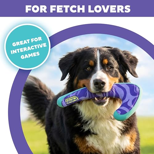 Outward Hound FlyFetch Boomerang Dog Toy, Lightweight Foam Core, Rubber Rim, Floats in Water, All Breeds, 11" - color: Boomerang Purple