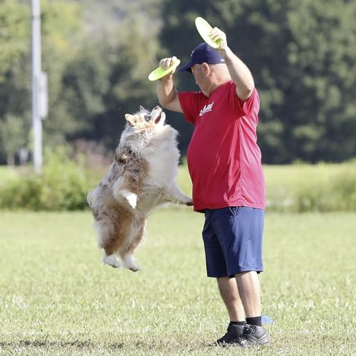 Hyperflite Pup Jawz Puncture Resistant Dog Flying Disc, Small Dogs | Puncture Resistant, Competition Approved | 7-inch, 90g | Small Dogs | Yellow - color: Yellow