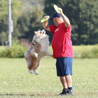 Hyperflite Pup Jawz Puncture Resistant Dog Flying Disc, Small Dogs | Puncture Resistant, Competition Approved | 7-inch, 90g | Small Dogs | Yellow - color: Yellow