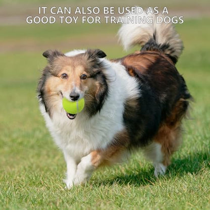 SHYUJAJIE Tennis Balls, 20 Pack Training Tennis Balls,High Elasticity Practice Tennis for Beginner, Exercise Playing Balls for Pet Dog - color: Multicolour