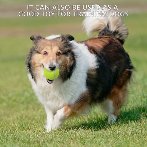 SHYUJAJIE Tennis Balls, 20 Pack Training Tennis Balls,High Elasticity Practice Tennis for Beginner, Exercise Playing Balls for Pet Dog - color: Orange