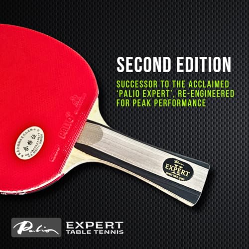 Palio - color: Grey Handle, Red/Black Rubbers
