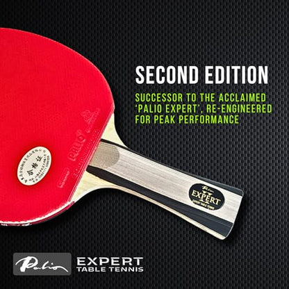 Palio - color: Grey Handle, Red/Black Rubbers