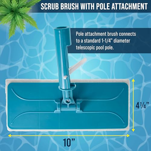 U.S. Pool Supply Hand-Held and Pool Pole Attachment Scrub Brushes - Surface Scrubbing Scouring Sponge Pads - Clean Pool Tile Grout Walls, Vinyl Liners, Spas, Remove Stains, Kitchen Bathroom Tub Shower - size: 4x11