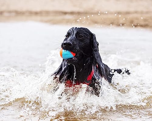 Chuckit! Amphibious Fetch Balls (Set of 3) Paraflight Flying Disc Dog Toy, Large (9.75") - size: 3 Count (Pack of 1), 1 Count (Pack of 1), style: Fetch Balls (Pack of 3) + Frisbee Toy