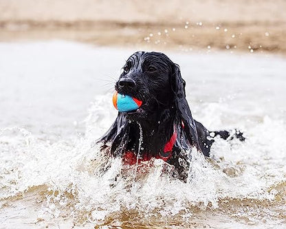 Chuckit! Amphibious Fetch Balls (Set of 3) Paraflight Flying Disc Dog Toy, Large (9.75") - size: 3 Count (Pack of 1), 1 Count (Pack of 1), style: Fetch Balls (Pack of 3) + Frisbee Toy