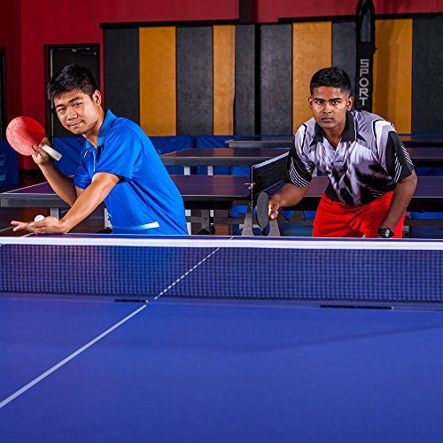 Champion Sports Champion Sports Table Tennis Net - color: Multi