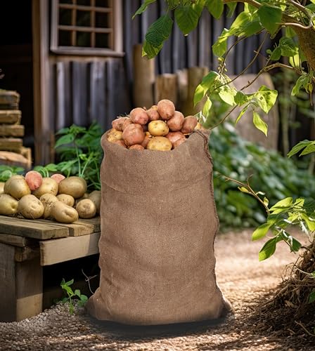COTTON CRAFT Potato Sack Race Bags - 10 Pack Jute Burlap Race Bags for Kids Adults - Large 24x39 Gunny Sacks Bulk - Outdoor Lawn Games, Field Day, Party Supplies, Picnic, Easter Hopping Games - size: 10 Pack - 24x39