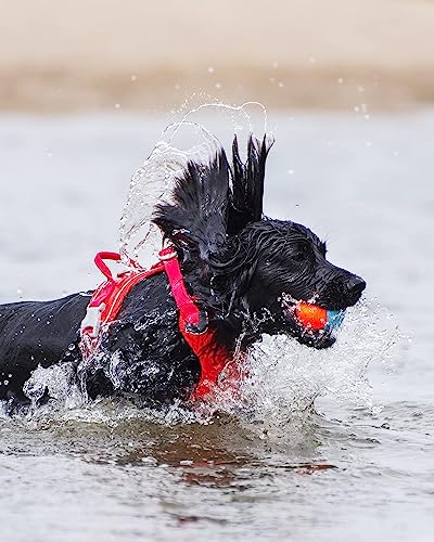 Chuckit! Amphibious Fetch Balls (Set of 3) Paraflight Flying Disc Dog Toy, Large (9.75") - size: 3 Count (Pack of 1), 1 Count (Pack of 1), style: Fetch Balls (Pack of 3) + Frisbee Toy