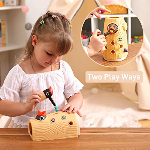 TOP BRIGHT Montessori Toys for 2 Year Old Girl Boy, Fine Motor Skills Toddler Sensory Toys Age 2-4, Woodpecker Worm Toy Magnetic Bird Feeding Game