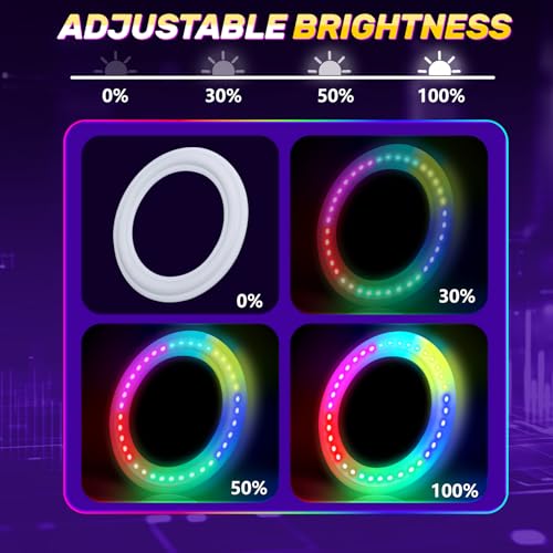 Light up Flying Ring Disc Toy for Kids Adults, 10" Large 12 Dynamic Modes Glow in The Dark Flying Ring, Led Flashing Beach Sport Disc, Outdoor Sport Activities Yard Night Camping, Toss Catch Game