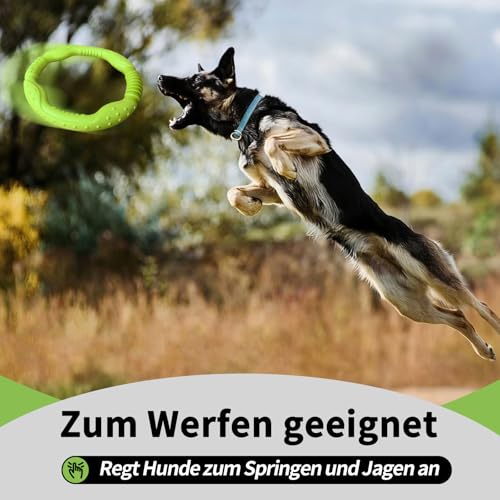 LaRoo Dog Flying Ring Toys, Floating Flying Disc ABS Durable Interactive Chew Toys for Training Outdoor Playing Puppy Medium Large Dogs (Small Green/18cm) - color: Green-S