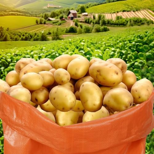 15Pcs Potato Sack Race Bags Large Size Game Race Bag for Carnival Easter Christmas School Outside Lawn Sports Games, Birthday Parties, Outdoor Family Gatherings, Barbecues - style: 15pcs
