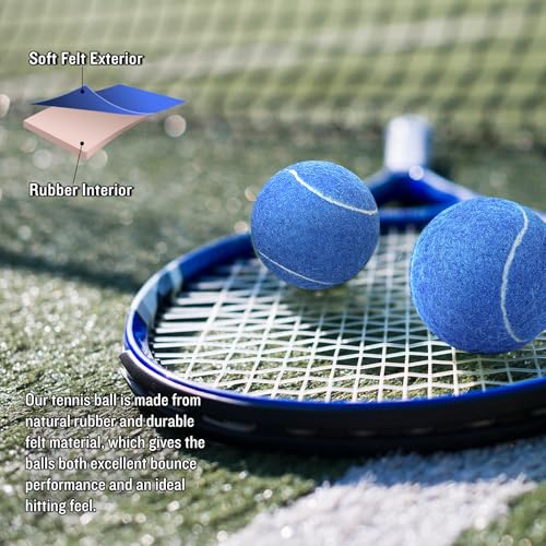 60/120 Pack Tennis Balls, Training Tennis Balls, Pet Dog Playing Balls, Practice Tennis Balls with Mesh Bag for Transport and Beginner Training - color: Blue-60Pack
