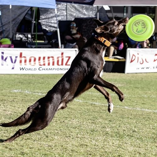 Hyperflite K-10 Jawz Puncture Resistant Dog Flying Disc, Medium-Large | Puncture Resistant, Competition Approved | 8.75-inch, 150g | Medium & Large Dogs | Yellow - color: Yellow