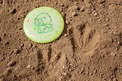 Triceratops Disc Golf Putter for Children | Ultra Lightweight | Made by Dino Discs