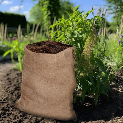 COTTON CRAFT Potato Sack Race Bags - 10 Pack Jute Burlap Race Bags for Kids Adults - Large 24x39 Gunny Sacks Bulk - Outdoor Lawn Games, Field Day, Party Supplies, Picnic, Easter Hopping Games - size: 10 Pack - 24x39