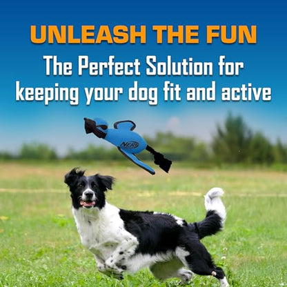 Nerf Dog Large Nylon Launching Duck with Interactive Design, Blue (3473), for All Breed Sizes - color: Blue