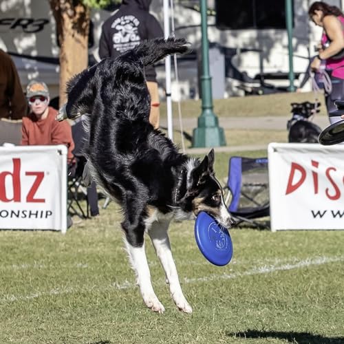 Hyperflite Pup Jawz Puncture Resistant Dog Flying Disc, Small Dogs | Puncture Resistant, Competition Approved | 7-inch, 90g | Small Dogs | Glow - color: Glow
