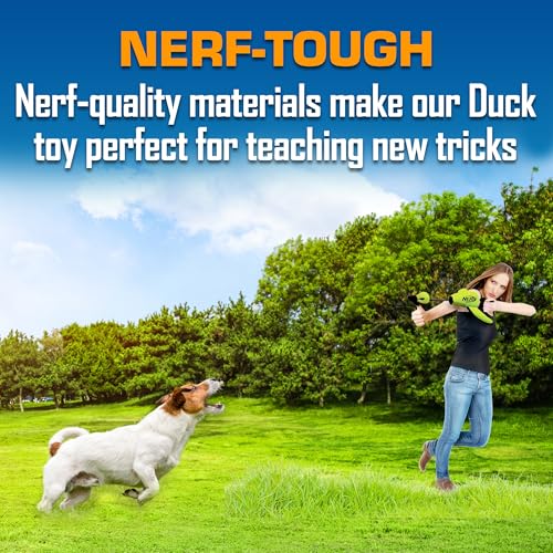 Nerf Dog Trackshot Launching Duck Dog Toy, 16.5 Dog Fetch Toy for Medium and Large Breeds, Green - color: Green