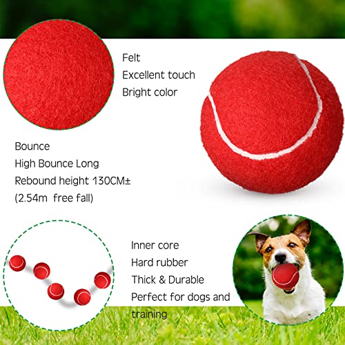 Vinsot 24 Pack Tennis Balls Bulk, Standard Pressure Balls for Training Playing Player Beginner Youth, Exercise Ball for Pet Dog, 2.5 Inch(Red) - color: Red