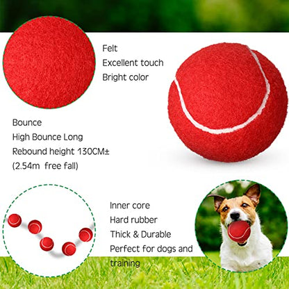Vinsot 24 Pack Tennis Balls Bulk, Standard Pressure Balls for Training Playing Player Beginner Youth, Exercise Ball for Pet Dog, 2.5 Inch(Red) - color: Red