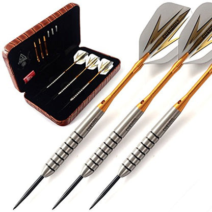 CUESOUL Tungsten Steel Tip Darts- Precise Barrels 18 19 21 24 Grams - color: 19 Grams-Luxury Case