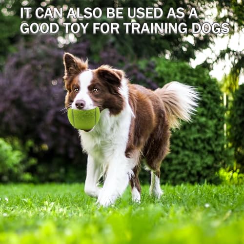 SHYUJAJIE Tennis Balls, 6 Pack Training Tennis Balls,High Elasticity Practice Balls for Beginner, Playing Balls for Dogs - color: Yellow