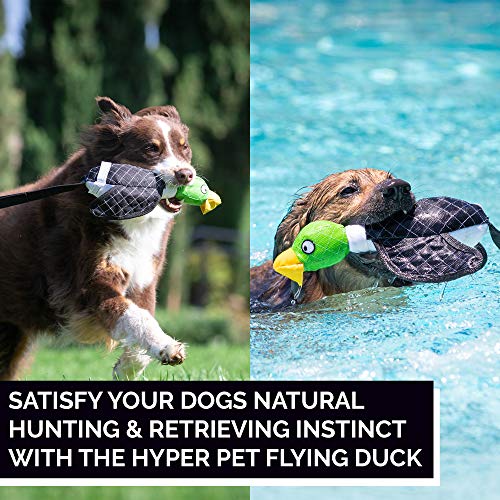 Hyper Pet Flying Series Interactive Dog Toys - Large Duck Slingshot Fetching Dog Toy - Floats on Water - size: Large, style: Duck Slingshot