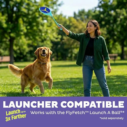 Outward Hound FlyFetch Disc Dog Toy, Durable Rubber, Stand-Alone or Replacement Discs for Launcher, 5", 2-Pack - color: Replacement Disc Purple