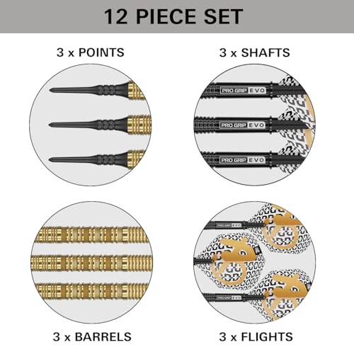 Target Darts Bolide Envy 90% Tungsten Soft Tip Dart Set (Barrel 10), 18G/21G | No.6 Flights & Pro Grip EVO Shafts, Electronic Pixel Tips Included | Professional Dart Sets - size: 21G