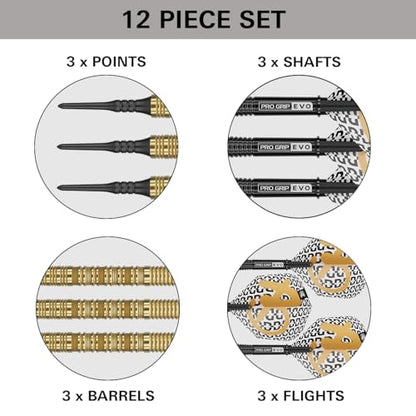 Target Darts Bolide Envy 90% Tungsten Soft Tip Dart Set (Barrel 10), 18G/21G | No.6 Flights & Pro Grip EVO Shafts, Electronic Pixel Tips Included | Professional Dart Sets - size: 21G