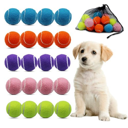 Swingers Small Tennis Balls，20 Pack 2 inch Training Tennis Balls,Exercise Ball for Pet Dog with Mesh Carry Bag Easy to Transport