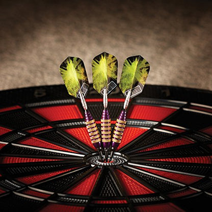 Viper Spinning Bee Soft Tip Darts with Casemaster Storage/Travel Case, 16 Grams - color: Purple